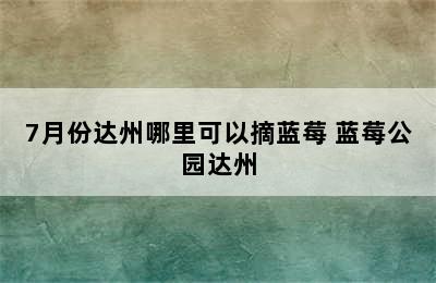 7月份达州哪里可以摘蓝莓 蓝莓公园达州